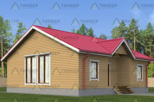 Одноэтажный дом из бруса 10х10
